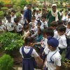 Tree Plantation 2019