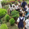 Tree Plantation 2019